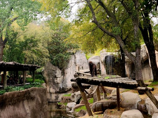 Fort Worth Zoo by null