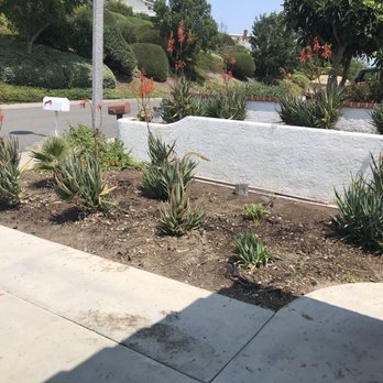 Benito's Gardening - After #3 - Tree Services Near Me - San Juan Capistrano, California Benito's Gardening - After #3 - Tree Services Near Me - San Juan Capistrano, California