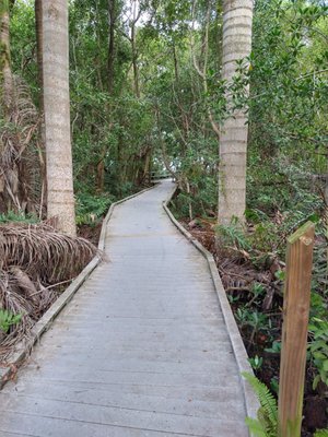 Four Mile Cove Ecological Preserve by null