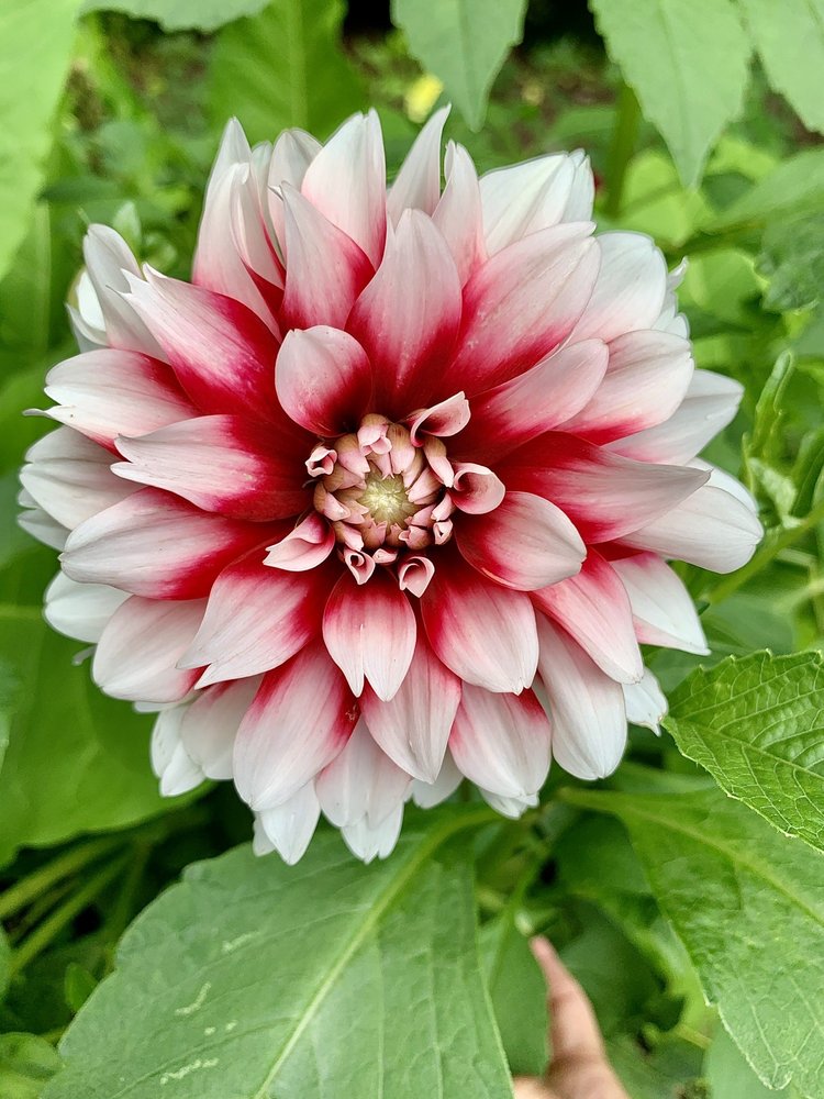 THE BIRDERS NEST 199 Photos 357 Hayts Rd, Ithaca, NY Yelp