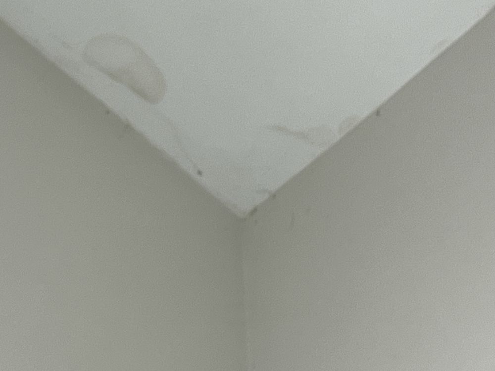 Slide of Whitaker roofing company