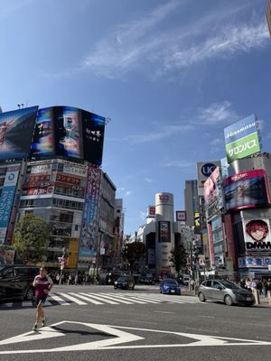 Shibuya Crossing by null
