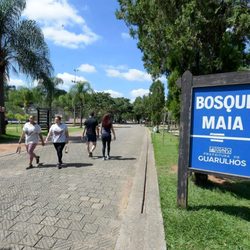 Bosque Maia - Entrada do Bosque Maia