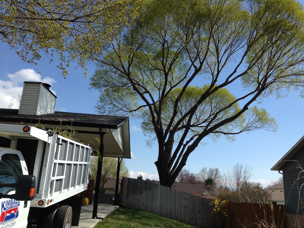 Kimball Property Maintenance - tree service in Draper, UT