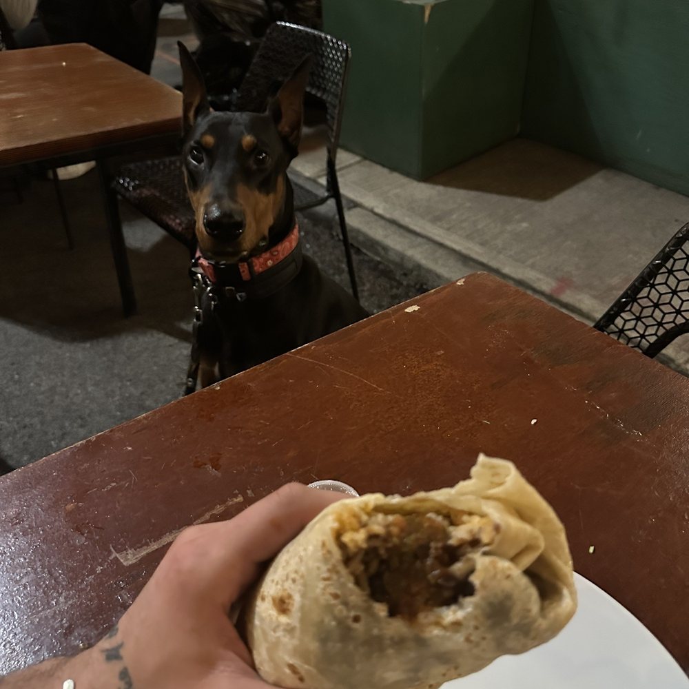 Regular Burrito Regular Burrito