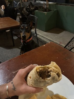 Maya Taqueria of Prospect Heights by null