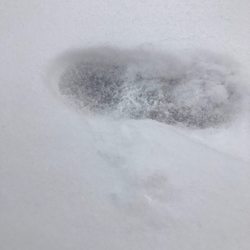 Magnolia Fields RV Park and Resort - RV Resort In Magnolia Texas - How deep the snow got! Lol