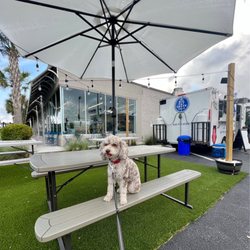My Big Fat Greek Trailer - How cute is this seating area!