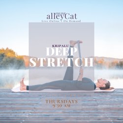alleyCat Yoga - Reclined Hand to Foot Pose