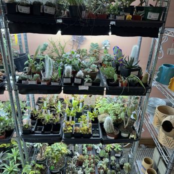 The Other Side Nursery - Great selection of plants - Nurseries & Gardening Near Me - Portland, Oregon The Other Side Nursery - Great selection of plants - Nurseries & Gardening Near Me - Portland, Oregon