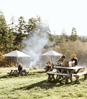 Orcas Island Winery by null