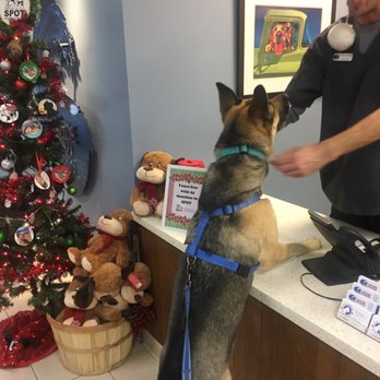 Surfside Animal Hospital - Veterinarians Near Me - Oceanside, California Surfside Animal Hospital - Veterinarians Near Me - Oceanside, California