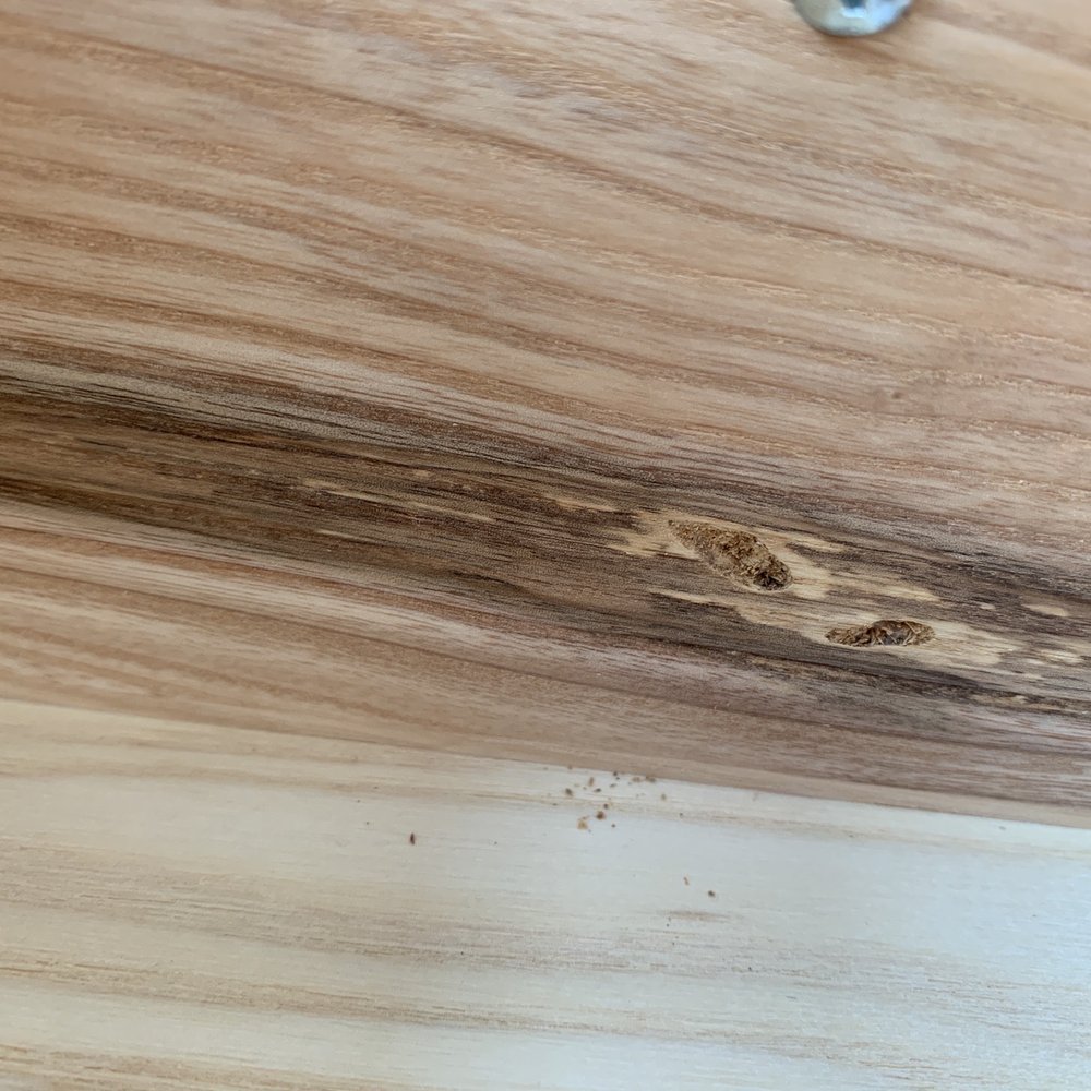 Room & Board - Termite - Furniture Stores Near Me - Seattle, Washington