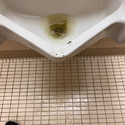 Boulder County Jail - Shit on the men's room urinal