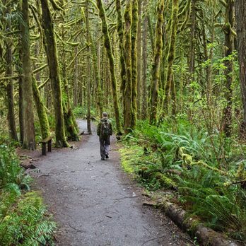 Wallace Falls State Park - Parks Near Me - Gold Bar, Washington Wallace Falls State Park - Parks Near Me - Gold Bar, Washington
