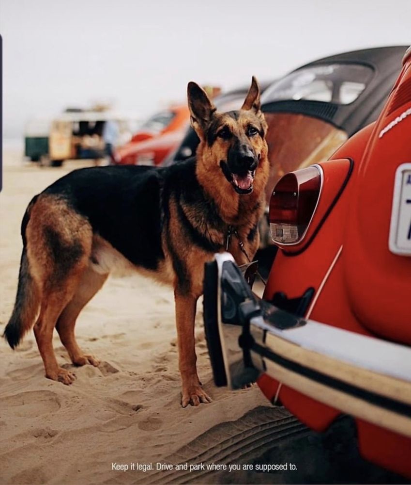 Ventura Vintage Volkswagens - social services organization in Ventura, CA