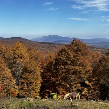 High Country Animals - Attraction Farms Near Me - Waitsfield, Vermont