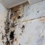 Photo of Rocky Mountain Abatement