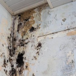 Rocky Mountain Abatement