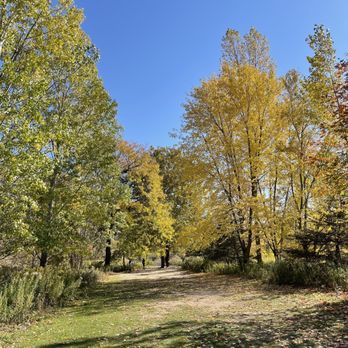 Streetsville Memorial Park - Streetsville Memorial Park - Credit River woodland - Parks Near Me - Mississauga, Ontario Streetsville Memorial Park - Streetsville Memorial Park - Credit River woodland - Parks Near Me - Mississauga, Ontario