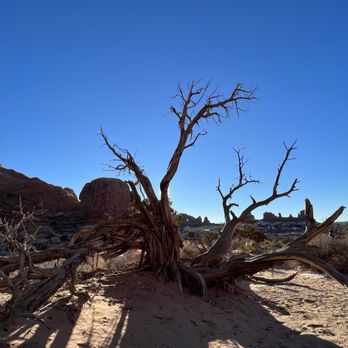 Arches National Park - Parks Near Me Arches National Park - Parks Near Me