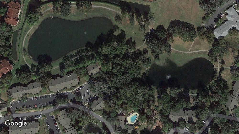 Polly Palmer Park Image