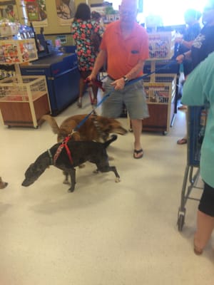 PetSmart by null
