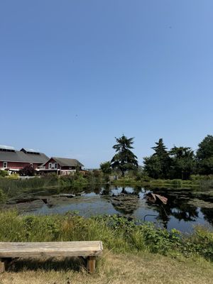 Greenbank Farm by null