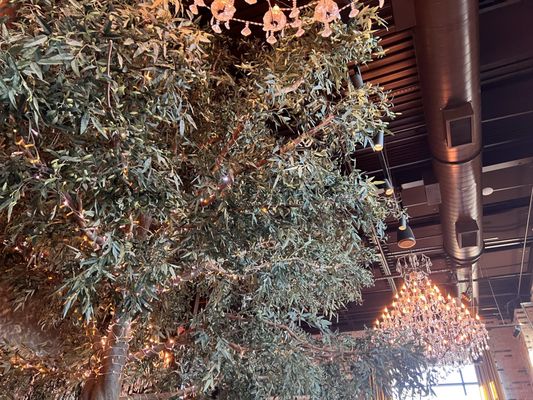 Eclipse di Luna - Alpharetta by null