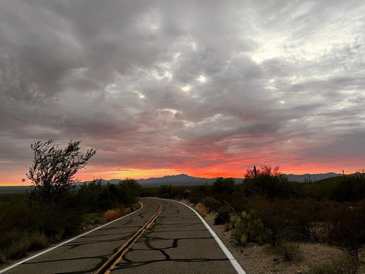 Gilbert Ray Campground by null