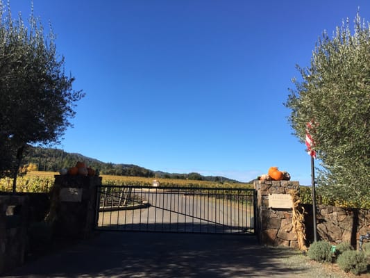 Staglin Family Vineyard by null