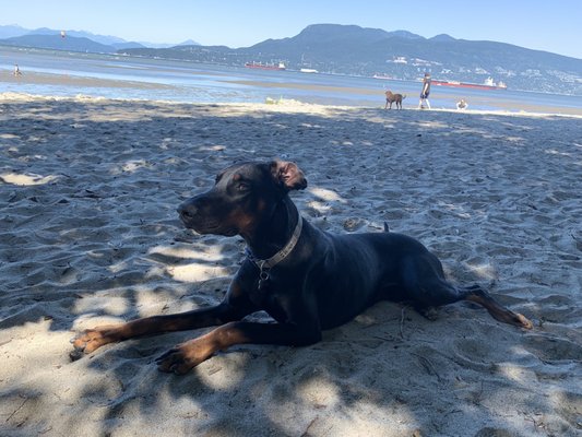 Spanish Banks Beach by null