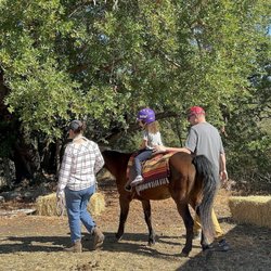 Nicasio Valley Pumpkin Patch - Giddy up!
