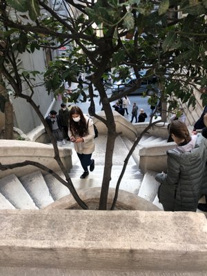 Kamondo Stairs by null