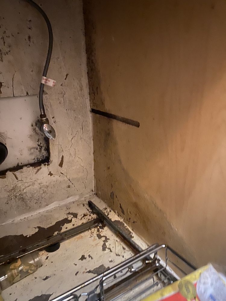 Mold Expert Now - mold inspector in Las Vegas, NV