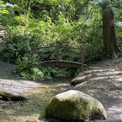 Wildwood Park - Saturday 8/3/2024