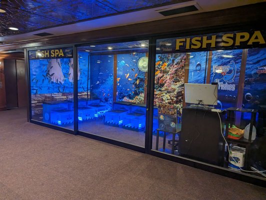 Hotel Apache by null