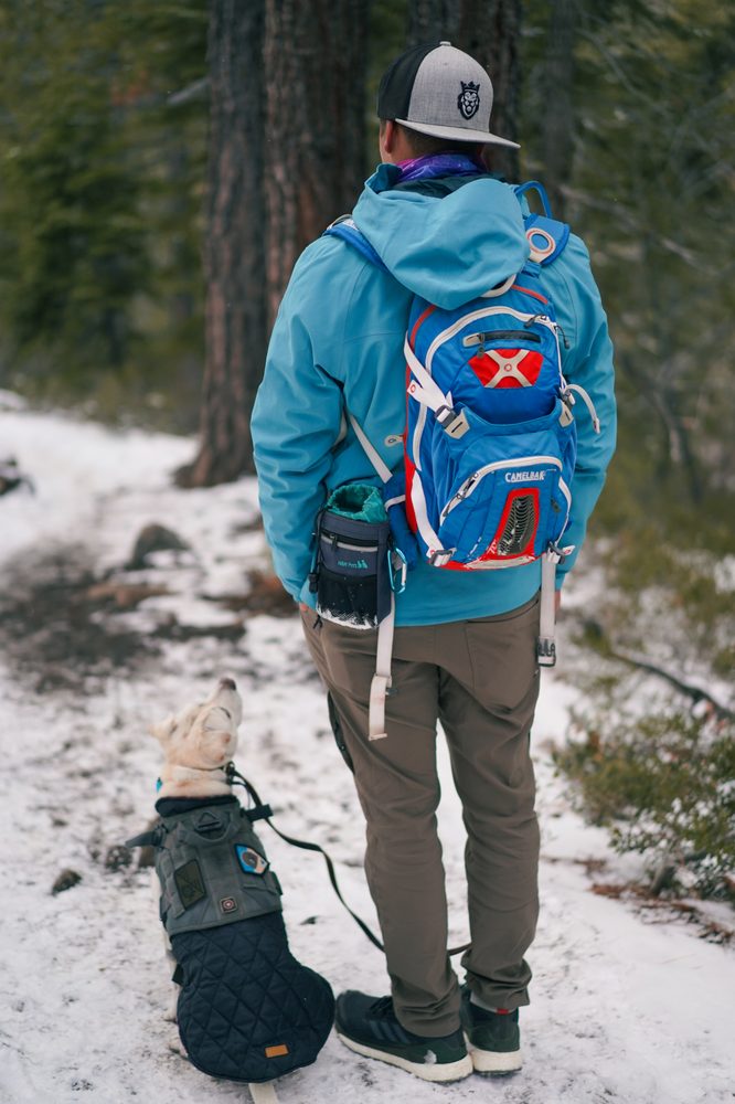 BAY AREA BALANCED DOG TRAINING 27 Photos & 31 Reviews Yelp