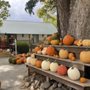Wissel Farms