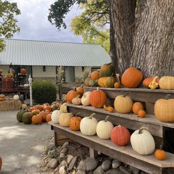 Wissel Farms