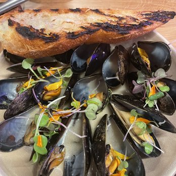 Vinya Table - Pernod mussels - Wine Bars Near Me - Coral Gables, Florida Vinya Table - Pernod mussels - Wine Bars Near Me - Coral Gables, Florida