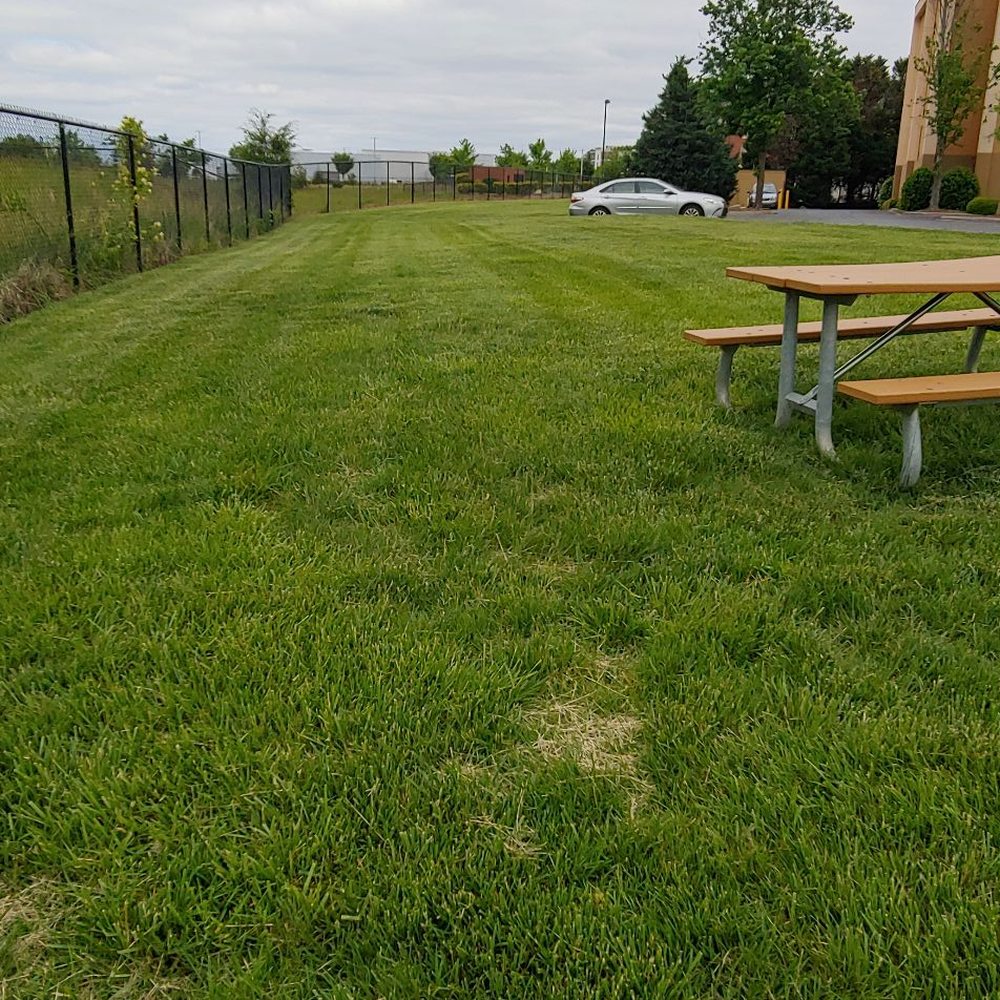 Hampton Inn Rock Hill - Lots of green space to walk your dog - Hotels Near Me - Rock Hill, South Carolina Hampton Inn Rock Hill - Lots of green space to walk your dog - Hotels Near Me - Rock Hill, South Carolina