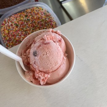 The Ice Cream Store - winter solstice peppermint - Ice Cream & Frozen Yogurt Near Me - Rockport, Massachusetts