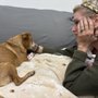 Photo of La Plaza Veterinary Clinic