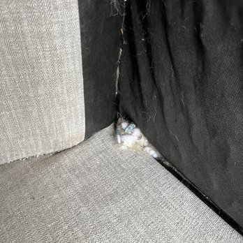 Prime Storage - Rodent nest in sofa frame - Self Storage Near Me - Lindenwold, New Jersey