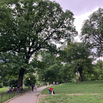 Central Park Conservancy - Slightly cloudy day for a walk in the park - Parks Near Me - New York, New York