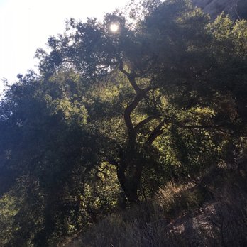 Hollenbeck Canyon Wildlife Area - Hiking Near Me - Jamul, California