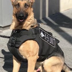 410K9 Dog Training