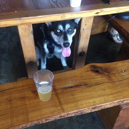 Dog friendly!