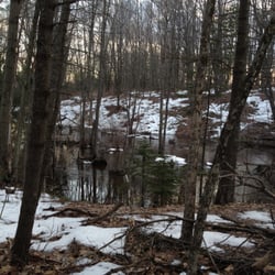 Clark's Pond Trail